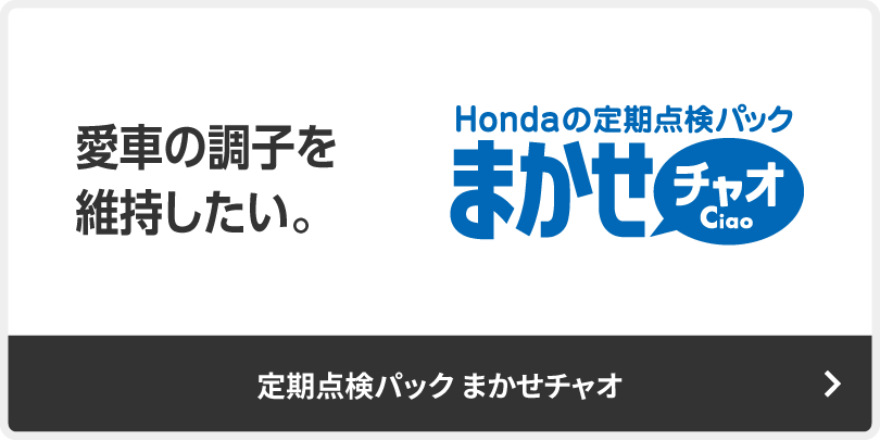 愛車の調子を維持したい-定期点検パック まかせチャオ